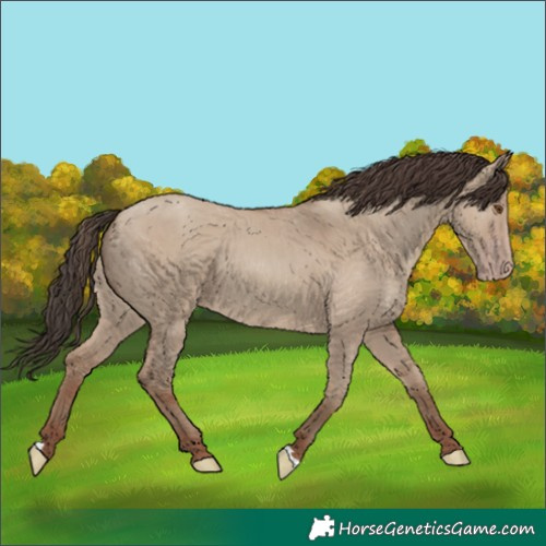 Horse Color:Classic Champagne Dun 