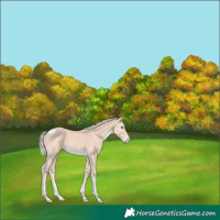 Horse Color:Silver Perlino Tobiano 