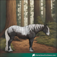 Horse Color:Powder White Silver Brown Sabino