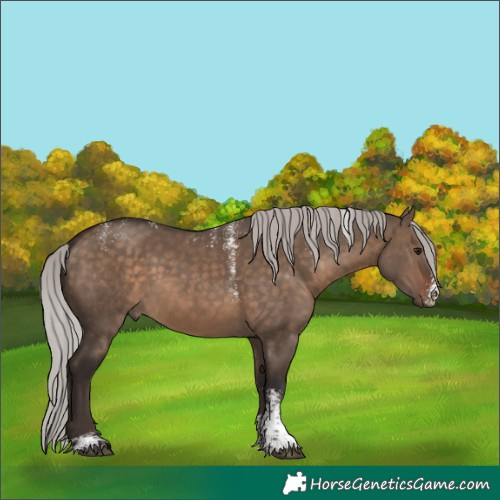 Horse Color:Powder White Silver Brown Dun Sabino 