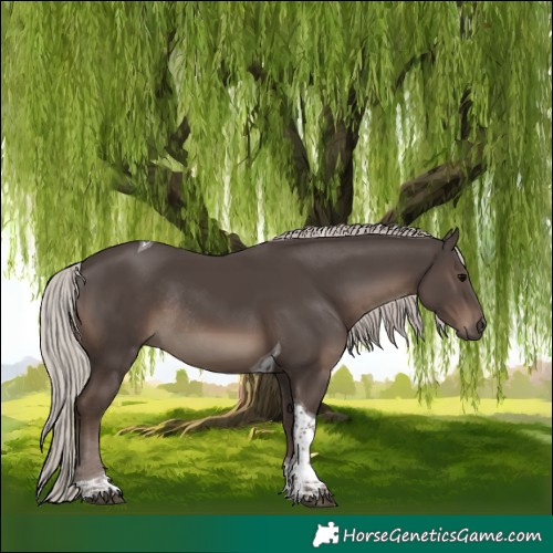 Horse Color:Silver Black Tobiano Rabicano