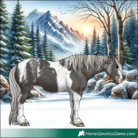Horse Color:Powder White Silver Black Tobiano 