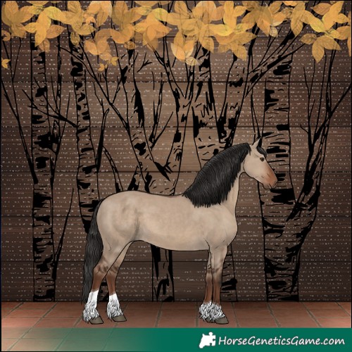 Horse Color:Liver Red Dun Tobiano 