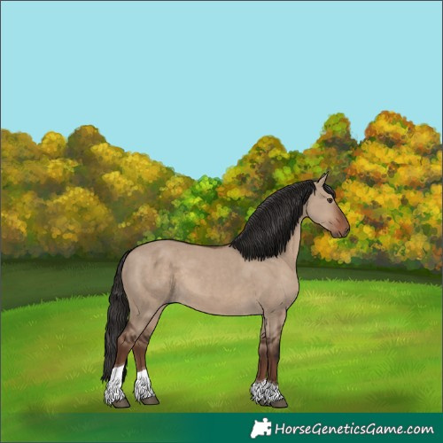 Horse Color:Liver Red Dun Tobiano 