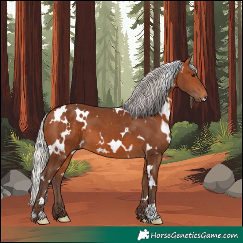 Horse Color:White Spotted Silver Brown 