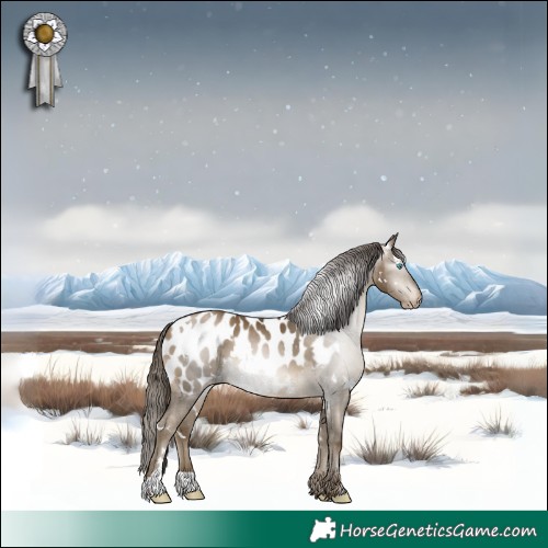 Horse Color:Gray White Spotted Buckskin Pearl Blanket 