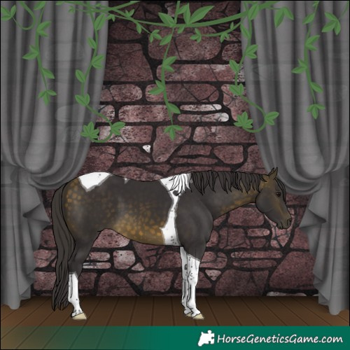 Horse Color:Buckskin Tobiano 