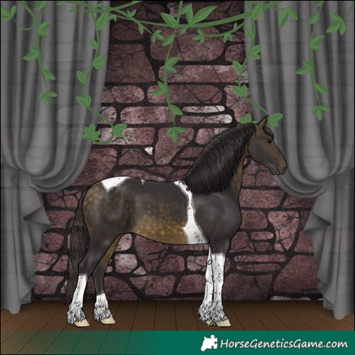 Horse Color:Buckskin Tobiano 