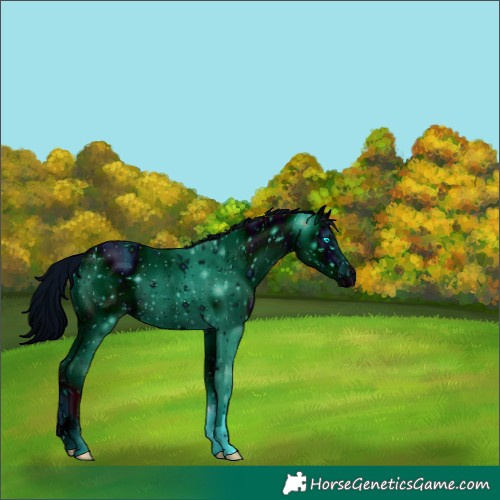 Horse Color:ERROR: UNKNOWN ANOMALY