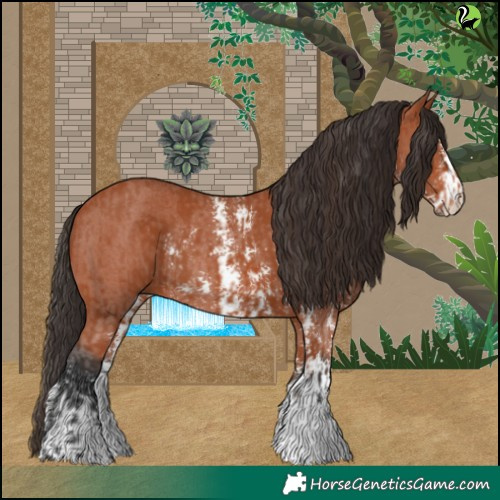 Horse Color:Bay Sabino Rabicano  and Bay Sabino Rabicano 