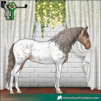 Horse Color:Brown Dun Tobiano Appaloosa Rabicano 
