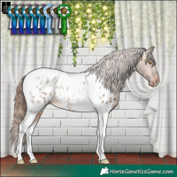 Horse Color:Brown Dun Tobiano Appaloosa Rabicano 