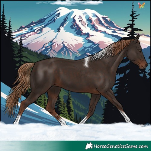 Horse Color:Liver Chestnut Tobiano 