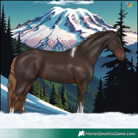 Horse Color:Liver Chestnut Tobiano 