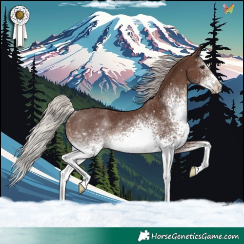 Horse Color:White Spotted Silver Black Rabicano 