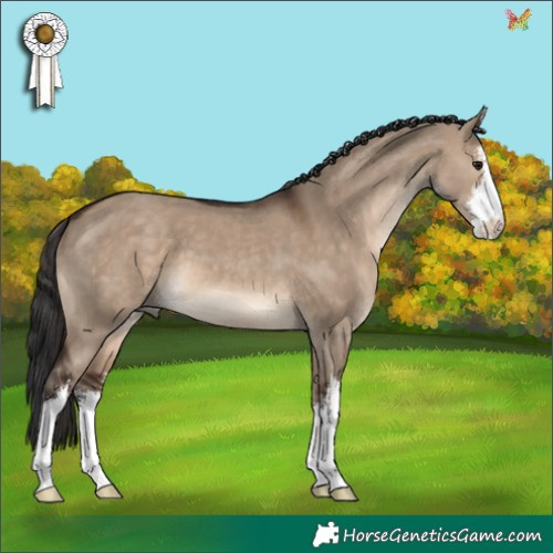 Horse Color:White Spotted Brown Dun 