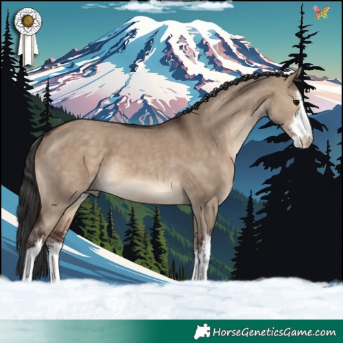 Horse Color:White Spotted Brown Dun 