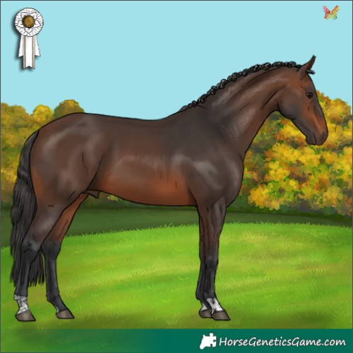 Horse Color:Brown 