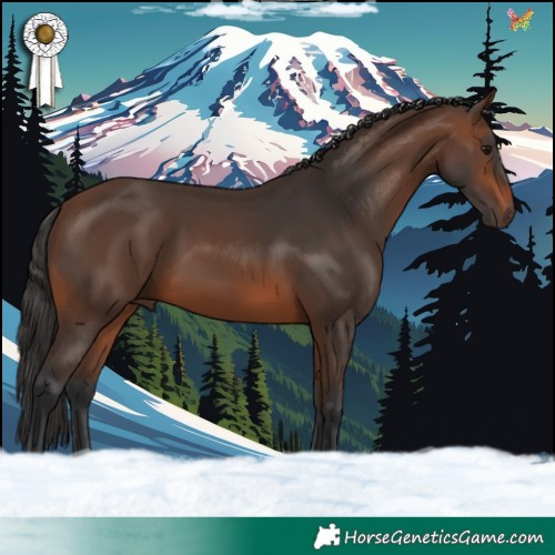 Horse Color:Brown 