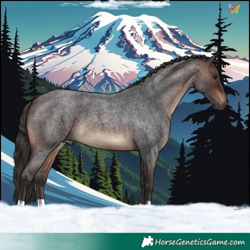 Horse Color:Brown Roan 