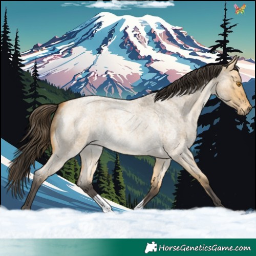 Horse Color:Buckskin Roan Dun 
