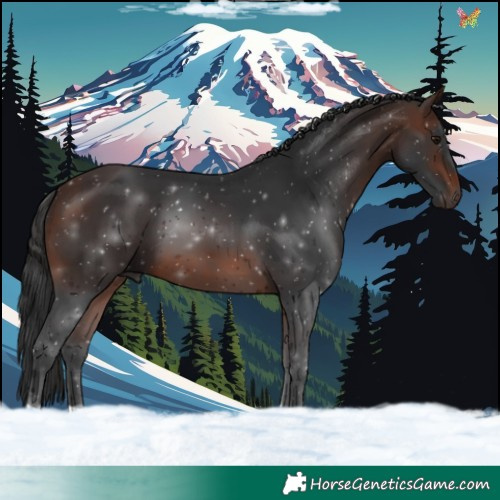 Horse Color:Brown 