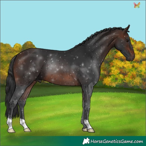 Horse Color:Brown 
