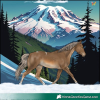 Horse Color:Chocolate Palomino Tobiano 