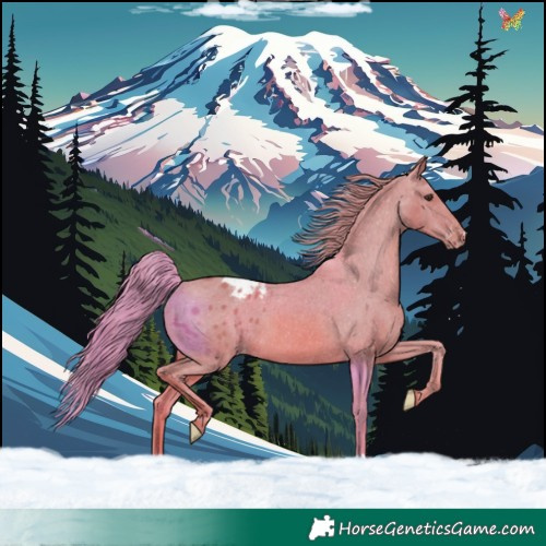 Horse Color:Watercolor Chestnut Blanket 