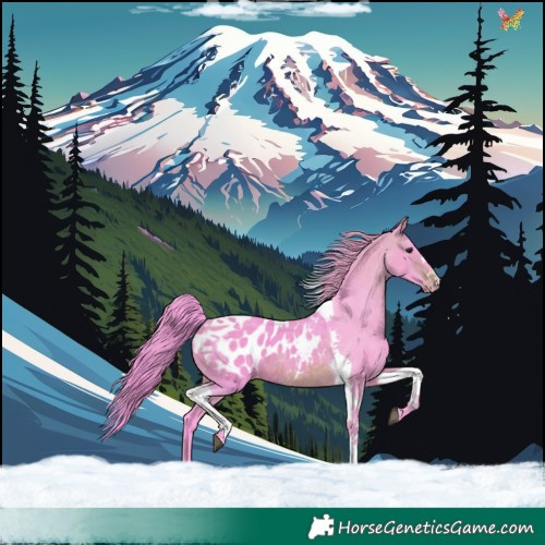 Horse Color:Watercolor Brown Tobiano Appaloosa 
