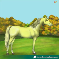 Horse Color:Watercolor Liver Chestnut