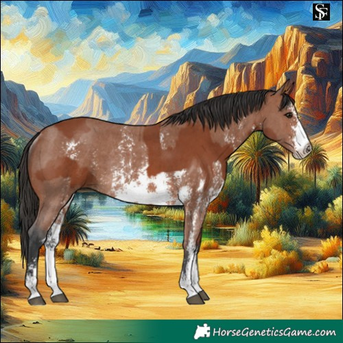 Horse Color:Bay Sabino Rabicano  and Bay Sabino Rabicano 