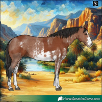 Horse Color:Bay Sabino Rabicano and Bay Sabino Rabicano
