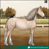 Horse Color:Gold Champagne Pearl Rabicano and Gold Champagne Pearl Rabicano