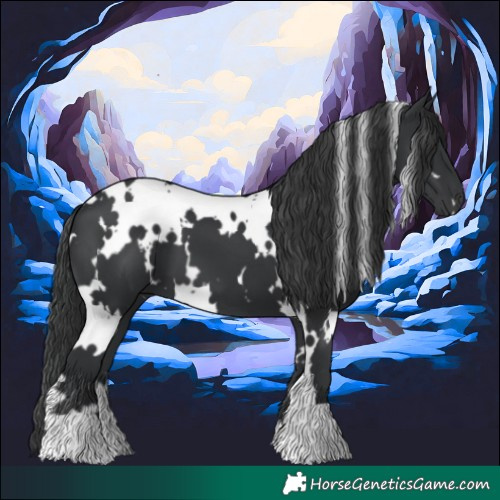 Horse Color:White Spotted Black
