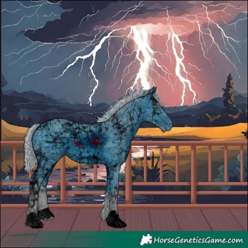 Horse Color:ERROR: UNKNOWN ANOMALY