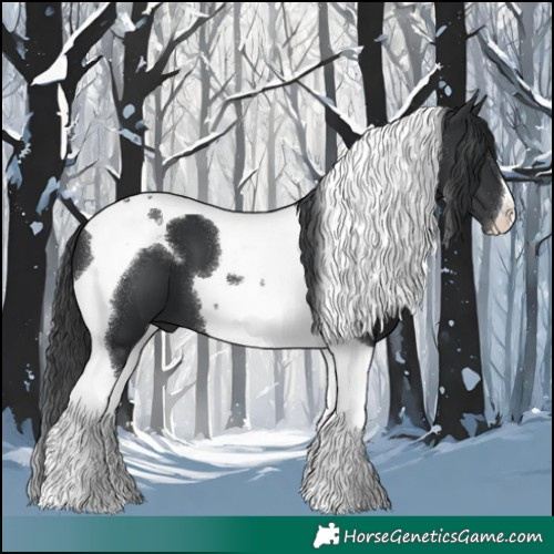 Horse Color:Black Tobiano 