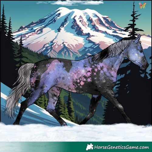 Horse Color:Void Watercolor White Spotted Silver Brown Tobiano 