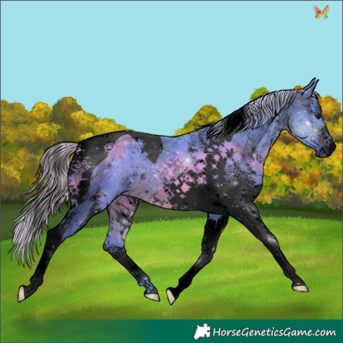 Horse Color:Void Watercolor White Spotted Silver Brown Tobiano 