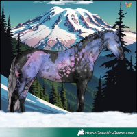 Horse Color:Void Watercolor White Spotted Silver Brown Tobiano