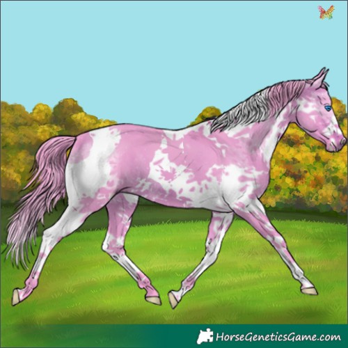 Horse Color:Watercolor Brown Dun Splash Tobiano 