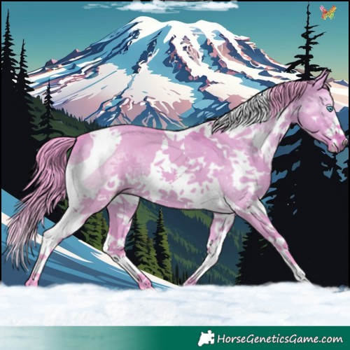 Horse Color:Watercolor Brown Dun Splash Tobiano 
