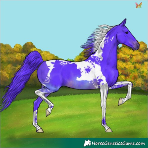 Horse Color:Watercolor Brown Tobiano 