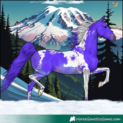 Horse Color:Watercolor Brown Tobiano 