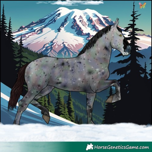 Horse Color:ERROR: UNKNOWN ANOMALY