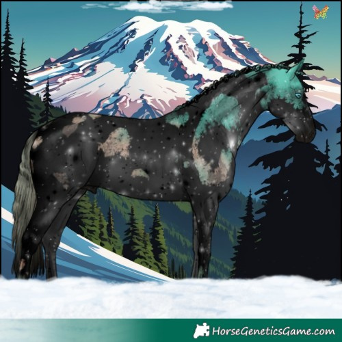 Horse Color:Void Watercolor Liver Chestnut Splash Tobiano 