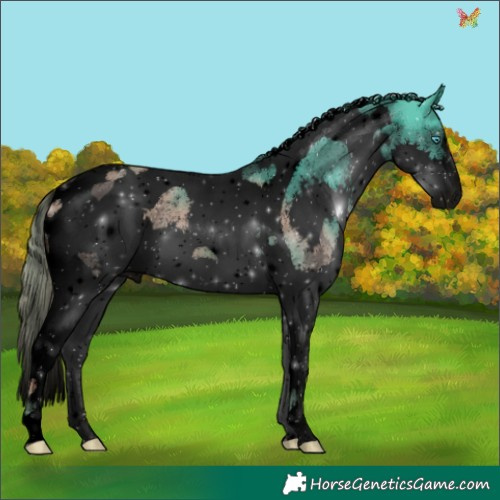 Horse Color:Void Watercolor Liver Chestnut Splash Tobiano 