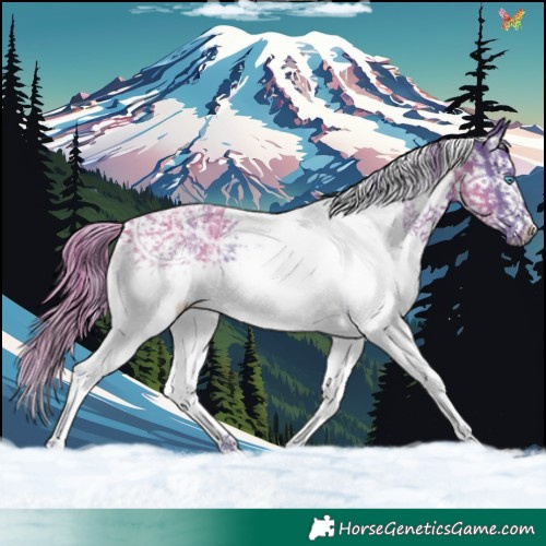 Horse Color:Watercolor White Spotted Liver Chestnut Ice Splash Tobiano 