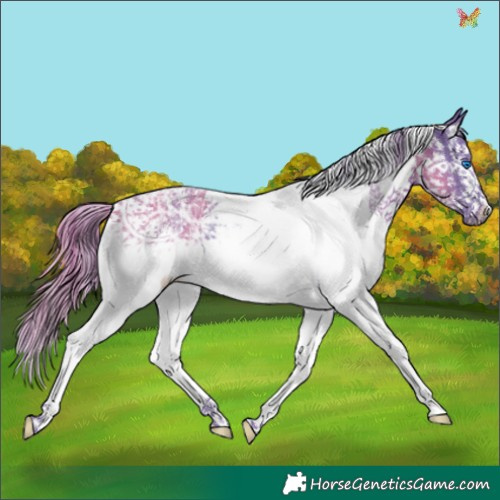 Horse Color:Watercolor White Spotted Liver Chestnut Ice Splash Tobiano 