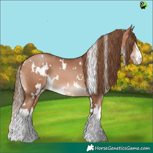 Horse Color:White Spotted Bay Pearl 